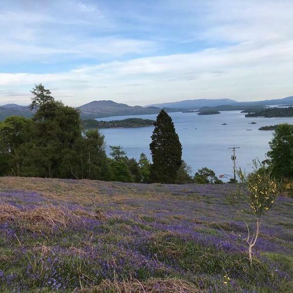 Alderdale B&B Luss Eksteriør billede